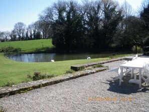 Terrasse, étang et cygnes