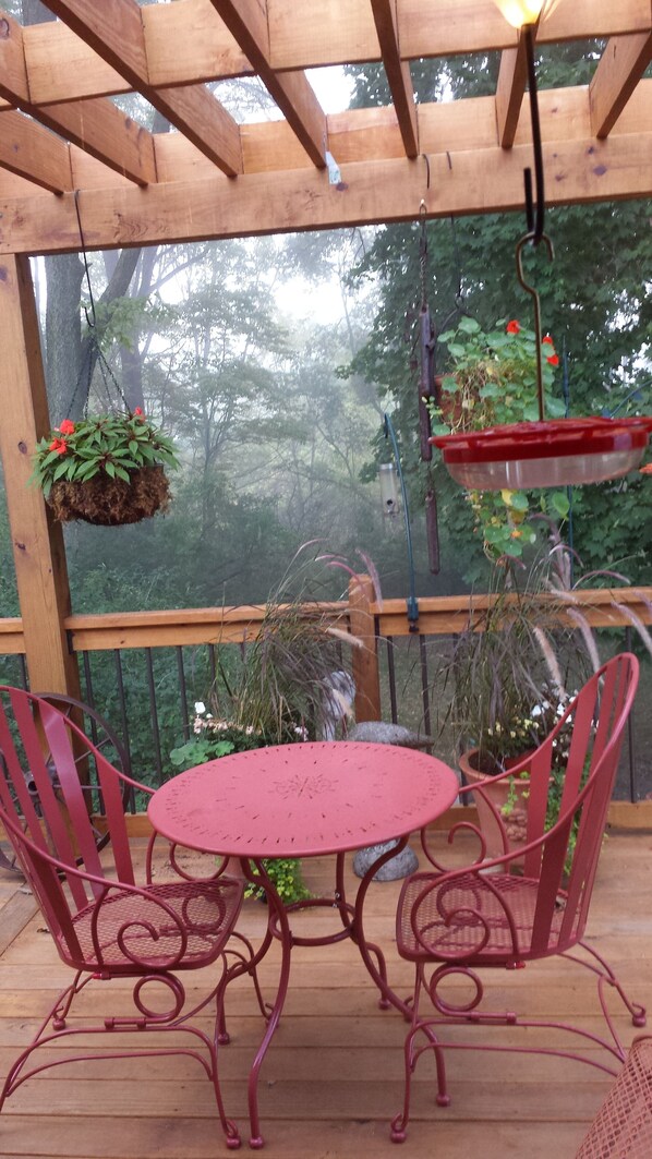 Summer view of the deck from the kitchen on an early foggy morning