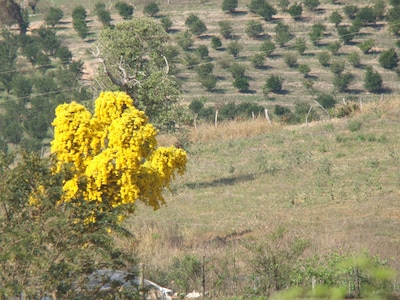 Lindo Sítio - 60km de BH