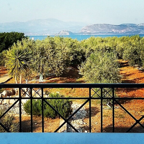 View from the Terrace - Outlook to the Bay of Argolis and the City of Nafplio.