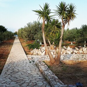 Jardines del alojamiento