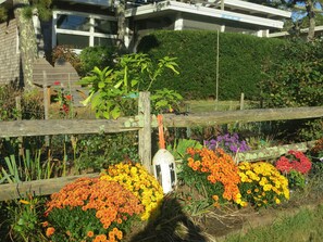Front of Cottage and garden