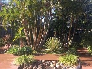 Very private oasis!