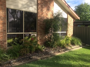 Tinted bedroom windows