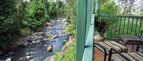 View of Picard River from Balcony.