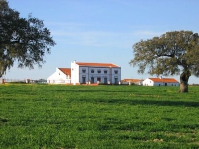 Rural house "Finca los Llanos" from 8 to 20 guests.