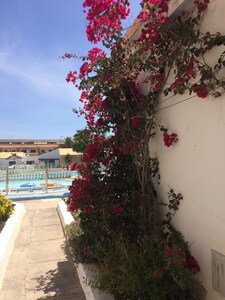 1 bed quiet apartment in the centre of Caleta de Fuste