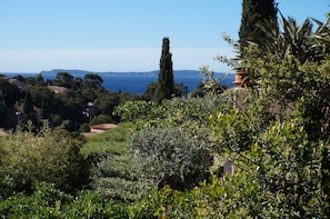 petite vue mer de la terrasse du haut