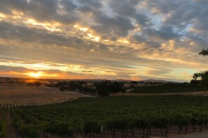 Sunrise from the back porch