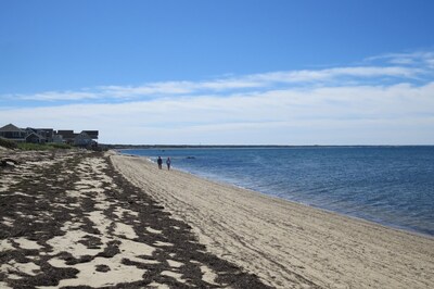 Beachfront Condo with Sweeping Views, Pet Friendly. A/C and free Wifi