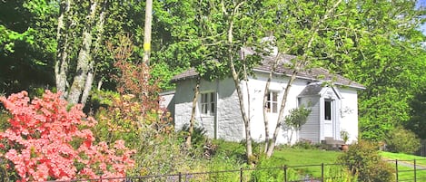 South Lodge nestled into the wood.