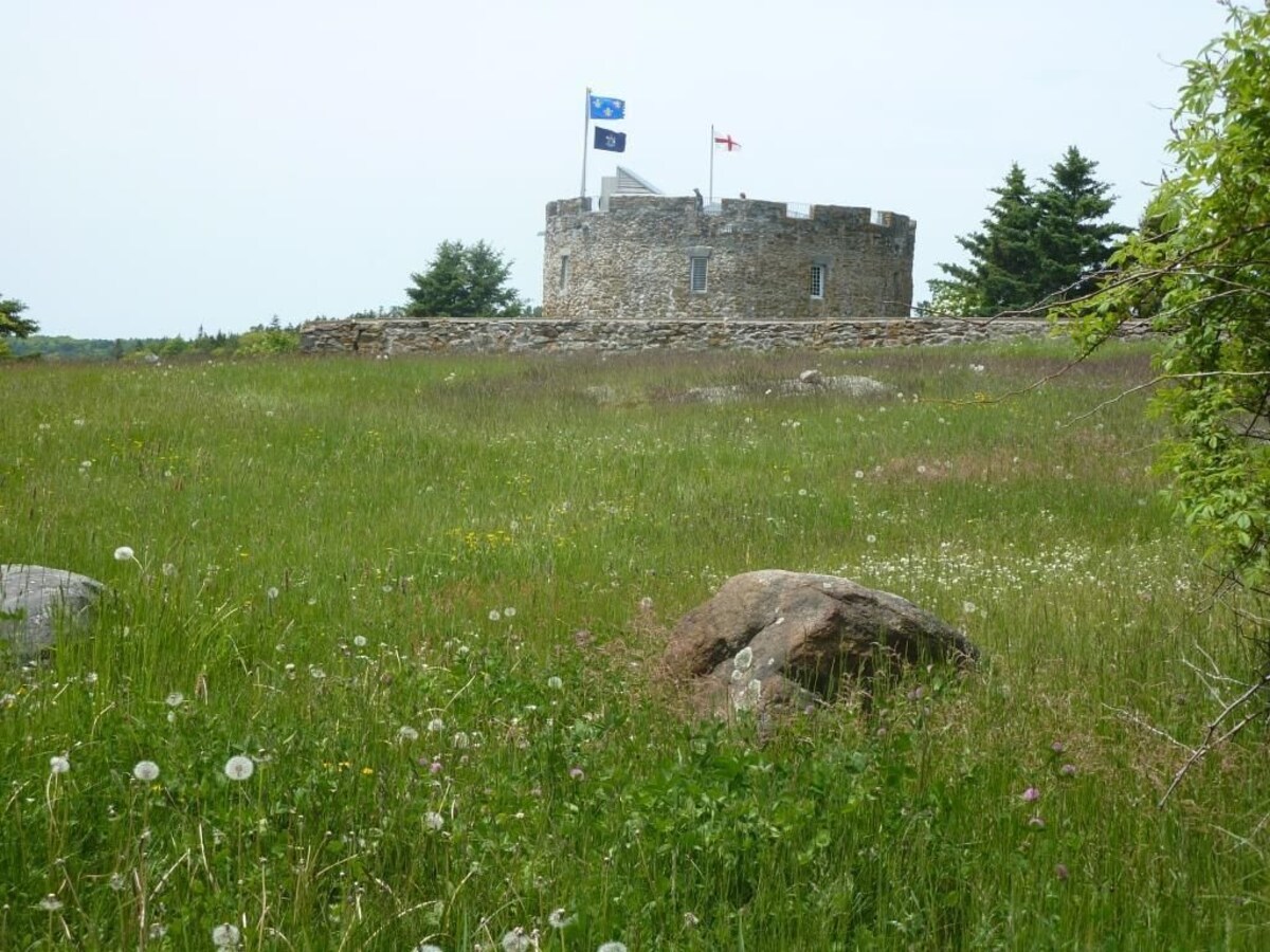 Main Image