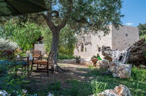 The charm of trulli and olive trees