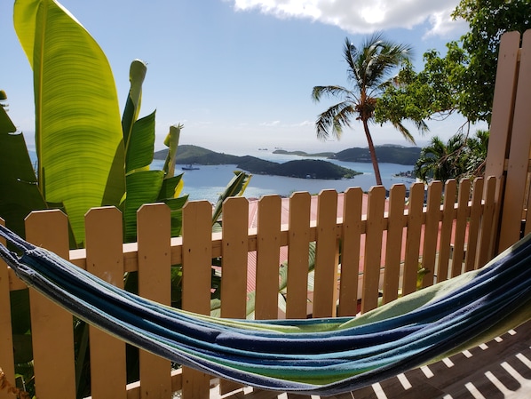 Hammock with a View