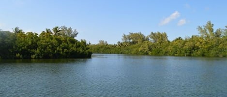 view from the dock