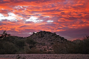 Great sunsets right from your backyard!