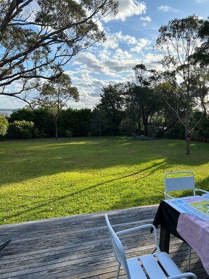 Back yard