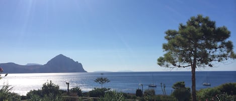 Vue sur la plage/l’océan