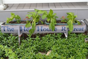 Flowers and greenery greet you in this antique chicken feeder.