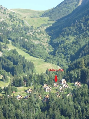 Overview