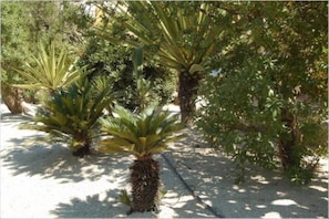 Garden, Park