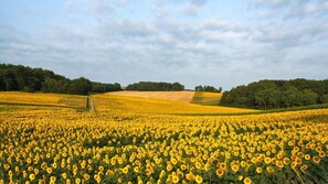 Situé au milieu des champs et des bois