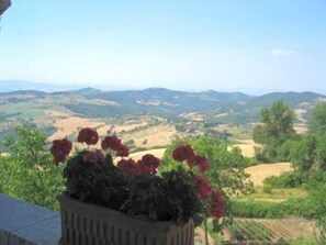 Territorial View