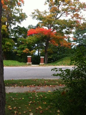 View of Lake Michigan in the fall. Photo was taken in front of the cottage.