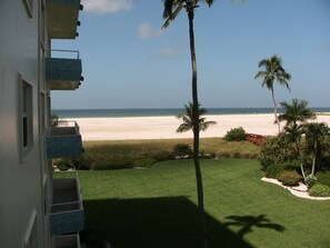 White sand beach framed by palm trees