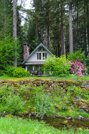 Sky River Cabin from the River 