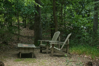 Come To The Forest And Relax. Connect With Nature. Bird Watch, Hike, Or Relax.