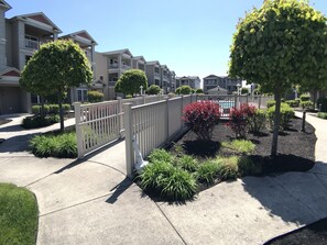 Courtyard Pool Gate