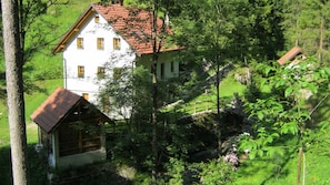 The house stands in the tranquility of the forest