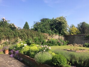 The courtyard garden.