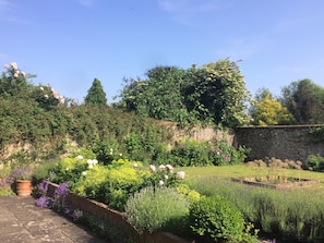 The courtyard garden.