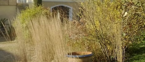 vue du Moulin B&B avec terrasse au sud