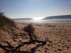 Strand
