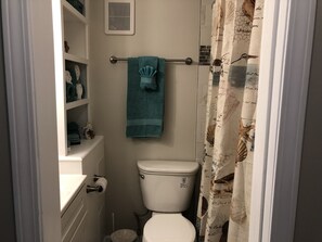 Bath and Walk in shower