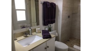 Master Bath with step-in shower