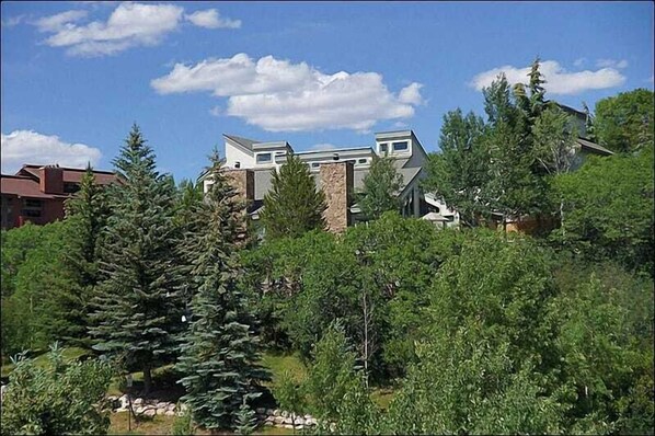 Summer exterior view