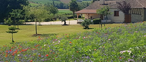 Jardines del alojamiento