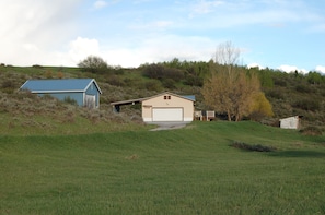 Driveway to the house