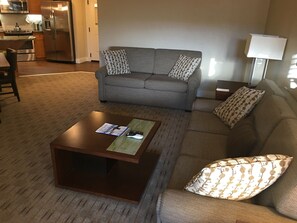 Studio Sitting Area and  Queen Pull-out Sleeper Sofa