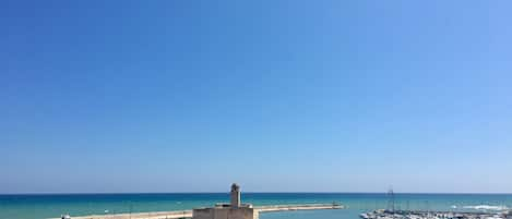 Vue sur la plage ou l’océan