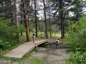 Bridge and Stream on Burro trail - about 400 yards from Townhome