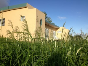 Natural grasses surround the house
