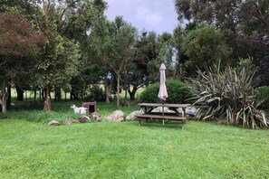 Outdoor area