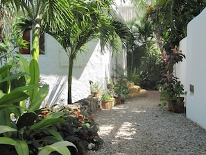 Walkway to front door.
