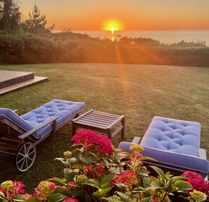 Garden at sunset