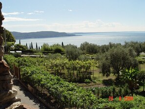 Blick vom Balkon zum See